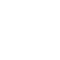 Team of Experts